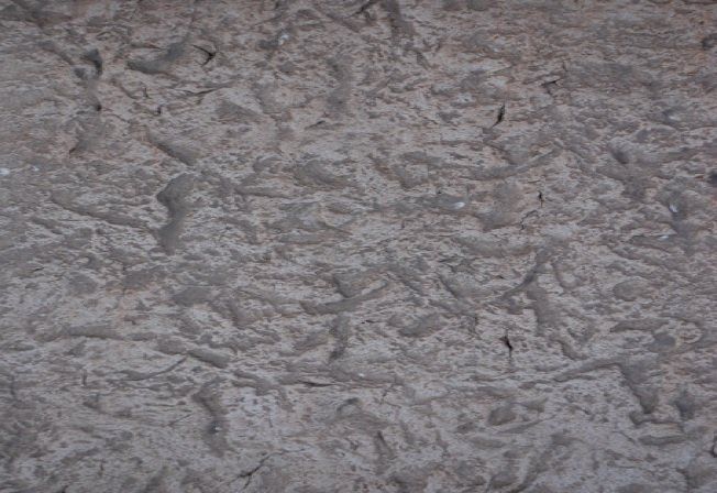 KIT RODILLO TERMINACIÓN TEXTURA YUCATAN