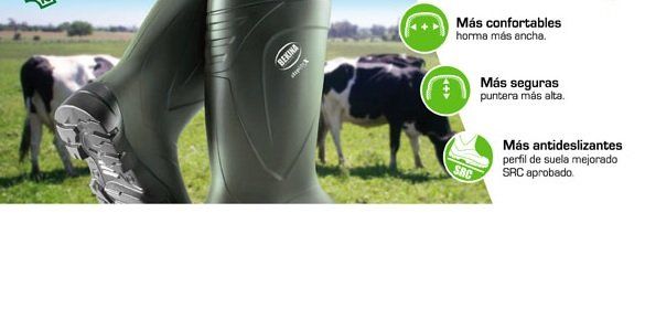 BOTA STEPLITEX CON PUNTERA